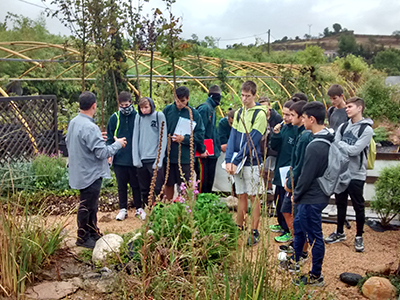 Visita de Estudios a Vivers Serra con los alumnos de 1º de CFGM de Jardinería